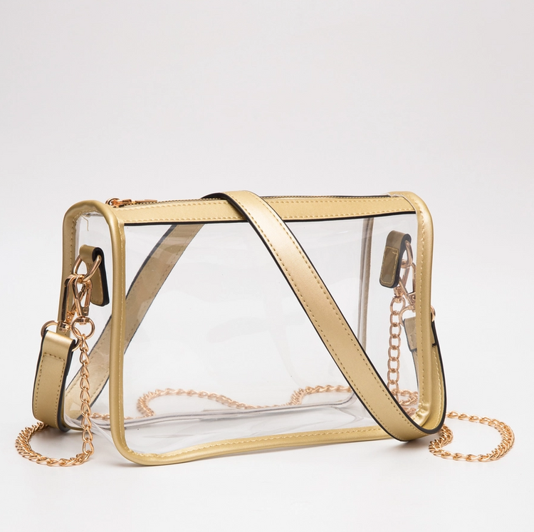 Clear Rectangle Crossbody Bag: Gold